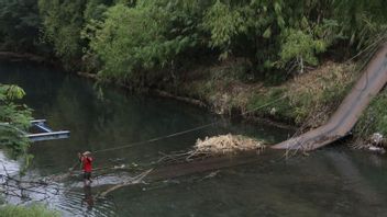 انهيار الجسر المعلق في Probolinggo ، 40 طالبا ومعلم 1 يغرقون بحرية في النهر ، PUPR يشرح الجاني