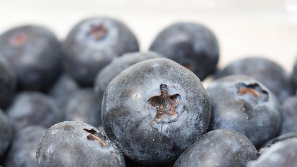 Kenali Manfaat Buah Blueberry untuk Kesehatan Kulit 