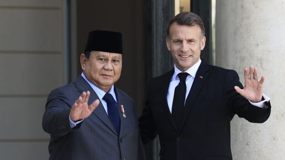 Prabowo Genjot Kerja Sama dengan Prancis, Fokus Pertahanan hingga Energi