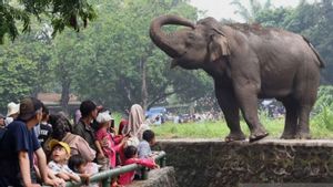 Protested By Warganet, The Manager Only Urges Visitors Not To Smoke In The Ragunan Wildlife Area