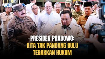 Presiden Prabowo: Kita Tak Pandang Bulu Tegakkan Hukum