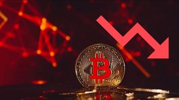 Bitcoin Crash Causes IDR 5.7 Quadrillion Disappear From The Crypto Market, Choose Hodl Or Save IDR?