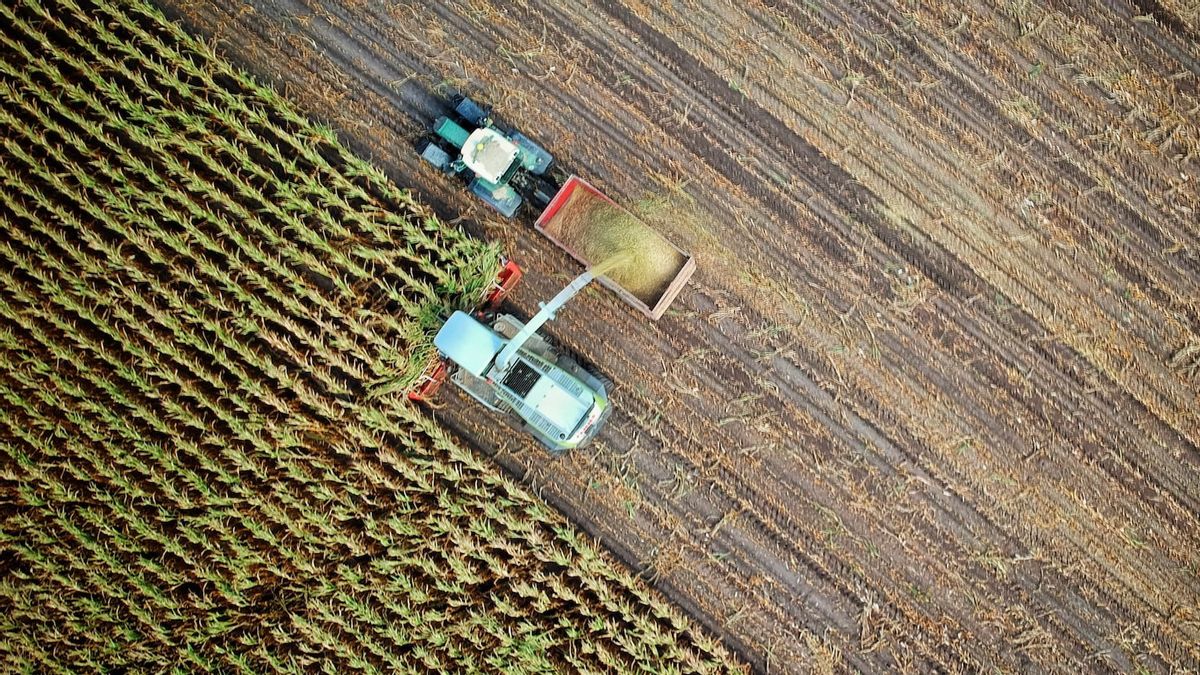 AI Technology Is Being Discussed For Trial At The Indonesian Agricultural Sector