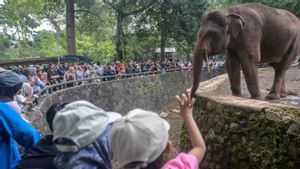 80 Ribu Wisatawan Padati Ragunan H+2 Lebaran