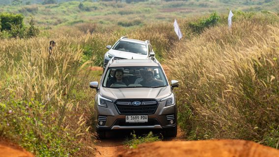 Subaru Gelar X-Mode Xperience Bersama Atlet Motorsport, Berlangsung Akhir Pekan Ini