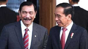 Jokowi Kompak dengan Luhut, Jangan Bawa Orang Toksik di Kabinet Prabowo