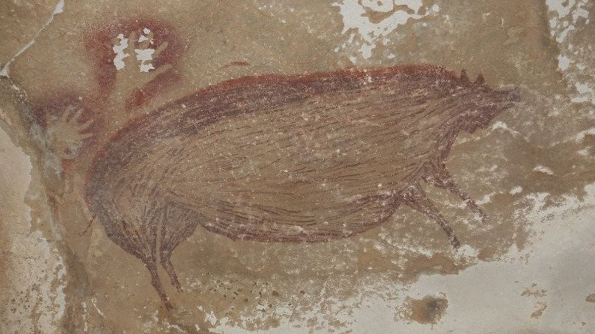 Cave Painting Drawing Of 45,500 Years Old Warty Pig Found In South Sulawesi