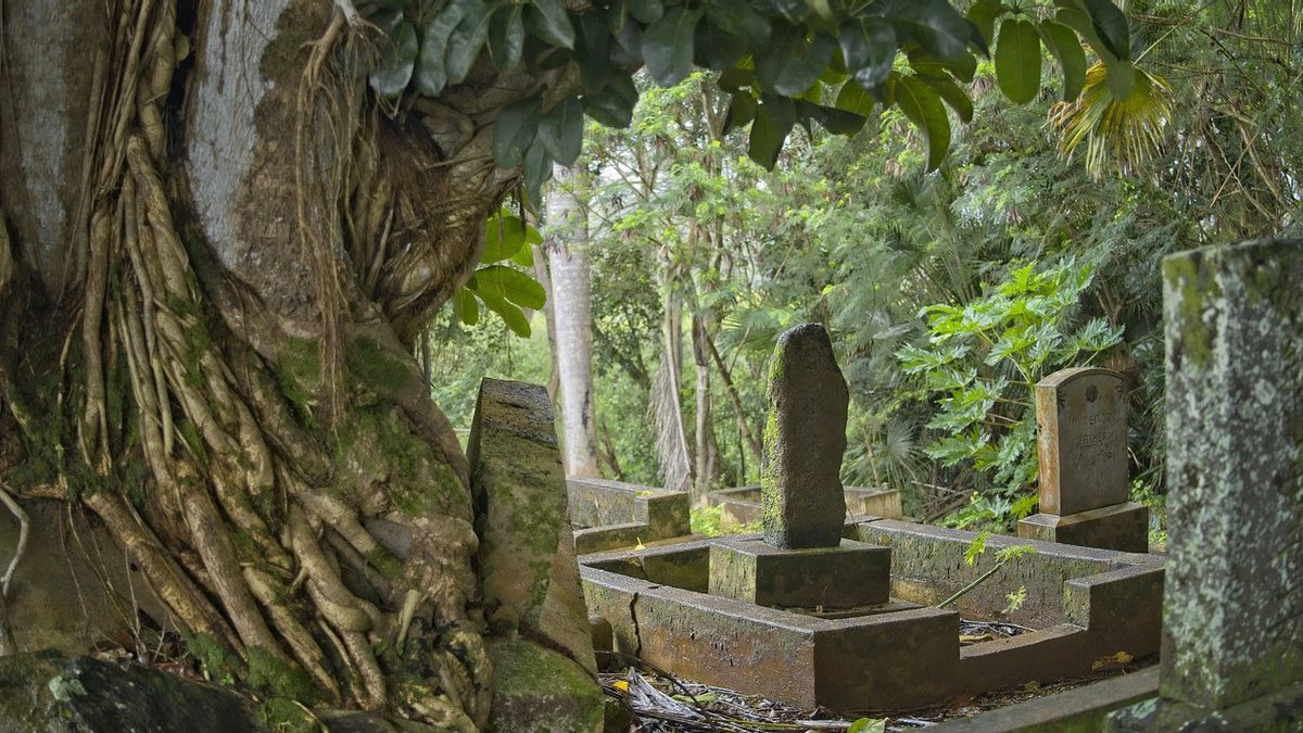 273 corps d'enfants retrouvés dans un trous tombé de 3,6x3,6 à Oldham, en Grande-Bretagne