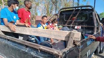 Atlet Peraih Emas PON Papua Pulang Naik Pick Up, Berikut Penjelasan dari Pemprov NTT