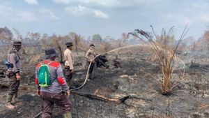 Kasus Karhutla di Bengkalis Riau, Polisi Tegaskan Pelakunya Bakal Diproses Pidana