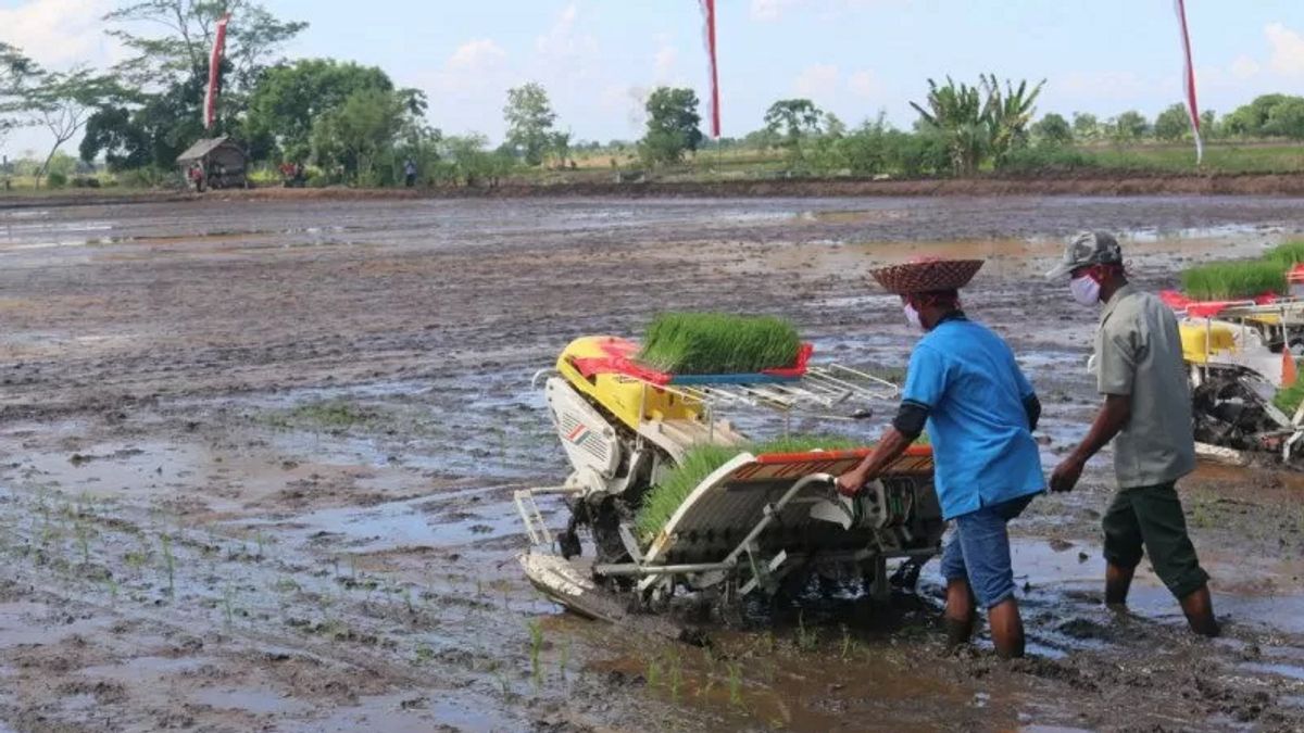 Genjot Lumbung Pangan  Lokal, Pangdam Udayana: 11 Pompa Hidran Dibangun di Bima NTB