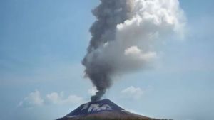  Gunung Ibu Erupsi Hanya Pagi dan Siang, BPBD Bagikan 1.385 Masker ke Warga Terdampak