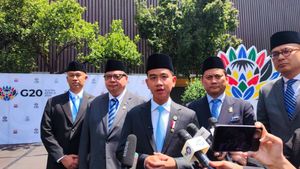 Wapres Gibran Bahas Program Prioritas Indonesia dalam Sejumlah Pertemuan Bilateral di KTT G20