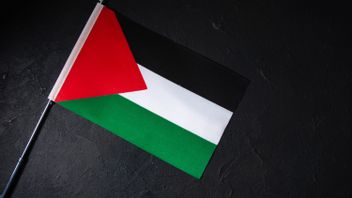 55 Countries That Do Not Recognize Palestine, From America To Asia