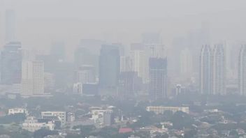  Polusi Udara Jakarta Bikin Warga Terserang Penyakit, FUBI Bakal Ajukan Gugatan