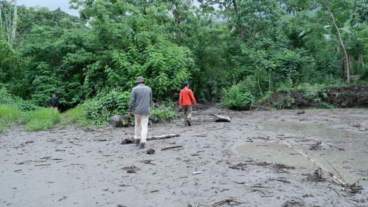 PVMBG Urges Residents To Anticipate Rain Lahar From Mount Lewotobi