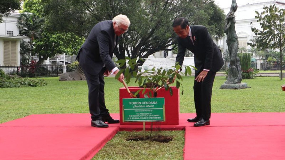 جوكوي والرئيس الألماني فرانك فالتر شتاينماير يزرعان أشجار خشب الصندل في قصر بوغور