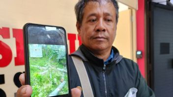 5 Hectare Jeruk Lemon In Jatibarang Reservoir Semarag Is Damaged Due To Illegal Implementation, Farmers Report To Police