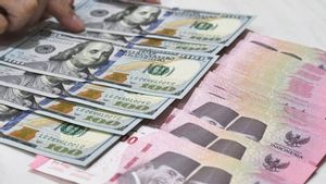 Kemenko Perekonomian Tegaskan Perundingan Tarif Dagang Indonesia dan AS Masih Berjalan