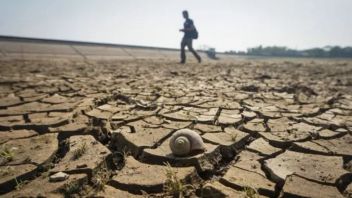 Lebak Regency in Banten Sets Drought Emergency Status