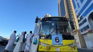 沙特：非法运送朝觐者被罚款50,000里亚尔，监禁6个月
