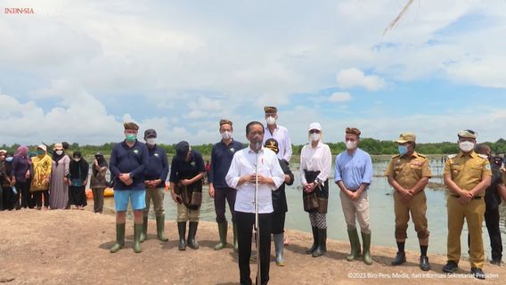 Jokowi Vise La Réhabilitation De 600 000 Hectares De Forêts De Mangroves D’ici 2024