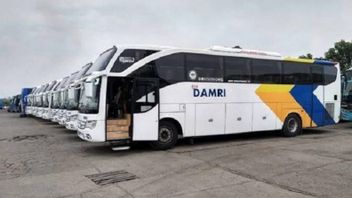 DAMRI Allegedly Not Paying Salaries To Reduce THR, KSPI Will Hold A National Strike