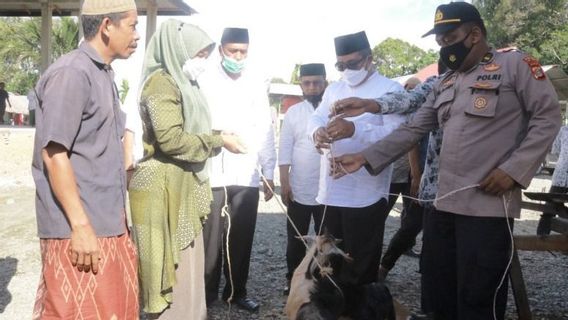 Pemkab Aceh Barat Serahkan Ribuan Itik dan Puluhan Kambing untuk Poktan Panton Reue