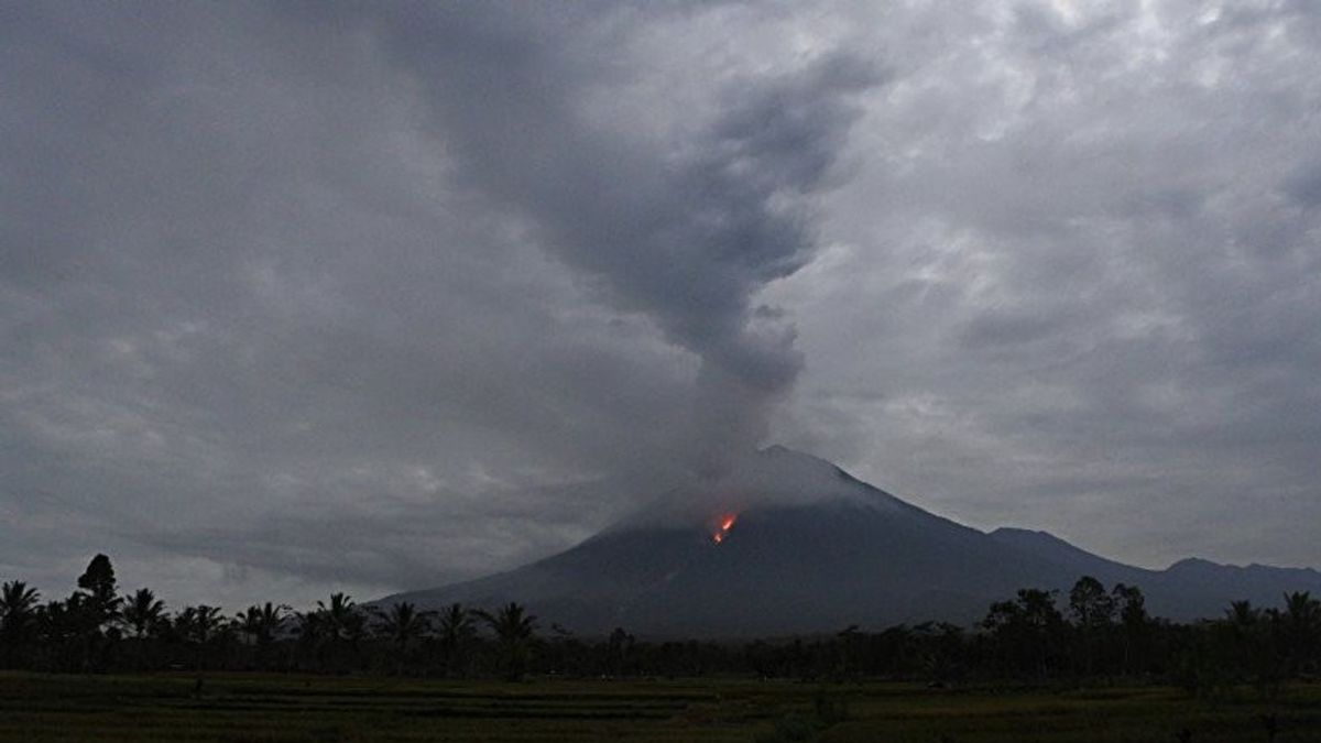 Mount Semeru Emits Hot Clouds, Flights At Surabaya-Malang Airport Are Still Safe