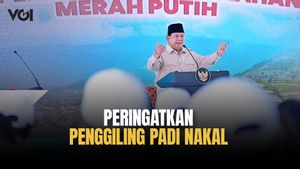 Siap-Siap Disita, Presiden Prabowo Kasih Peringatan untuk Penggiling Padi Nakal