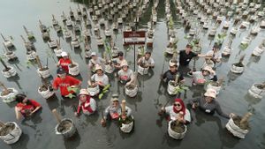 Peringati Hari Bumi, Prudential Indonesia Tanam 5.000 Mangrove di Pulau Harapan Kepulauan Seribu