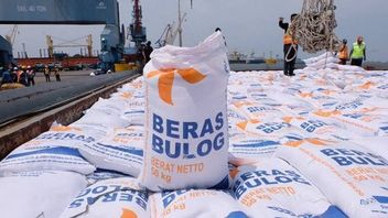 Bulog Laporkan Stok Cadangan Beras Pemerintah Capai 3,9 Juta Ton