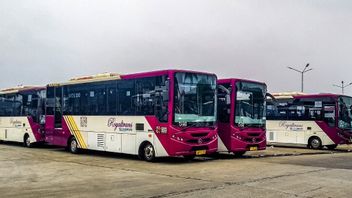 Royaltrans Bus Hangus On Cawang Toll Road, Transjakarta Conducts Investigation