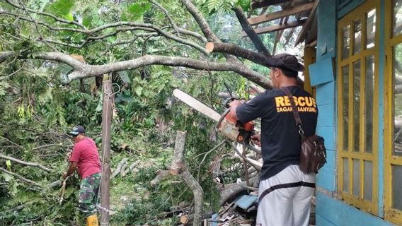 BMKG Asks People To Beware Of Potential Strong Winds In South Central Java