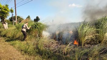 Damkar汽车受损，民丹岛的森林大火被手动扑灭