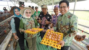 Maintain Food Sovereignty In Transmigration Areas, Gus Halim Officially The Sustainable Integrated Livestock Deplot