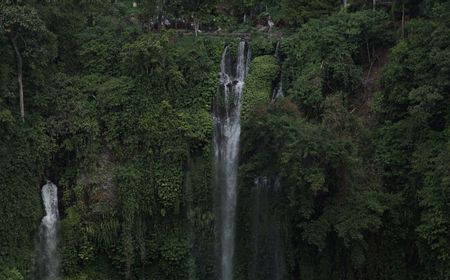 Bali Masih Layak untuk Dikunjungi Turis Asing di 2020