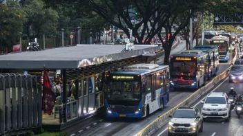 하킴이 운전사가 아니라고 하자, 프라모노는 또한 트랜스자카르타 버스 운영자를 탓했다.