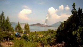 Tinggi Asap Kawah Gunung Anak Krakatau Capai 500 Meter
