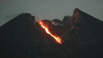 Update Merapi,  Guguran Lava Pijar Meluncur 15 kali dari Gunung Merapi, Status Siaga III