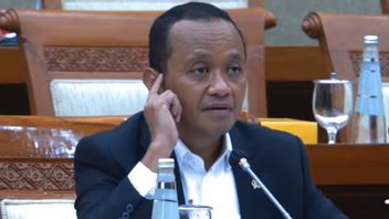 Bahlil Curhat à Dpr: BKPM Niveau Vers Le Haut Si Ministère Mais Budget Circoncis, Voici Comment Abdi Negara