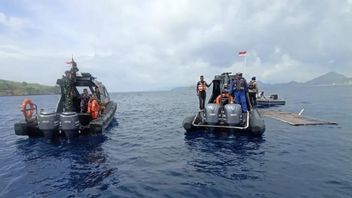 Tragedi Pelatih Valencia di Labuan Bajo: Aspek Keselamatan Transportasi Harus jadi Prioritas di Kawasan Wisata Superpremium