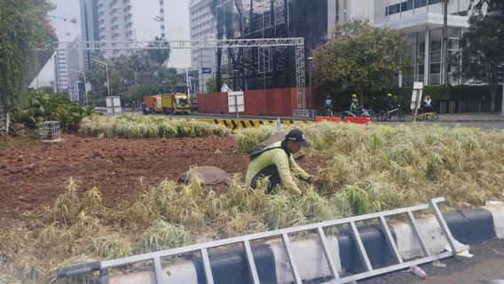 Immédiatement de retour, le gouvernement provincial de DKI n’a pas pris de poulpe de plantes endommagées dans le rond-point HI après le Nouvel An