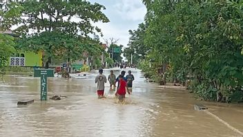 Floods In Parigi Moutong: 30 Residents Refuge, Men Guard House Worried About Thieves