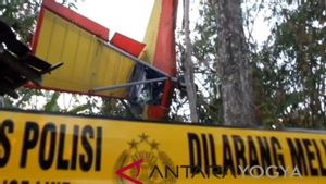 Marsma TNI Fajar Adriyanto Gugur saat Berlatih dengan Pesawat Latih Microlight Quicksilver GT500