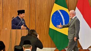 Presiden Lula: Indonesia Adalah Sahabat Lama Brasil dan Mitra Penting BRICS