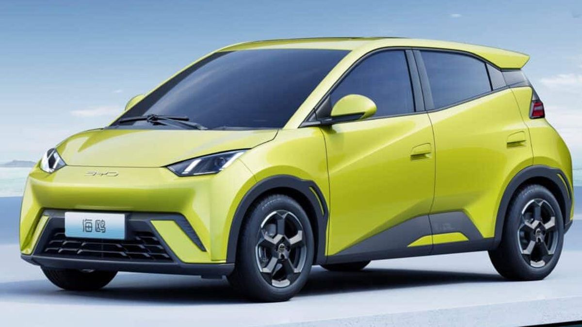 Seagull, Electric Hatchback With Affordable Budget