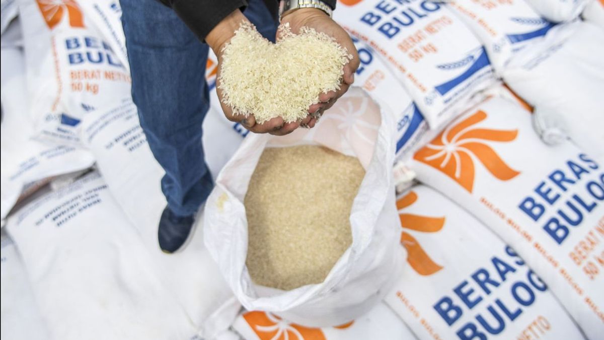 Bulog Ensures El Nino Phenomenon Has No Impact On Rice Availability In NTT