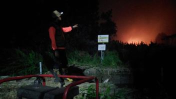 BNPB 正在修改西加里曼丹森林和陆地火灾可能性的天气预报