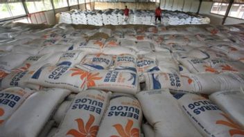 Prepare 200 Thousand Tons Of Rice For Social Assistance During The Emergency PPKM Period, BULOG Boss Budi Waseso Ensures Good Quality